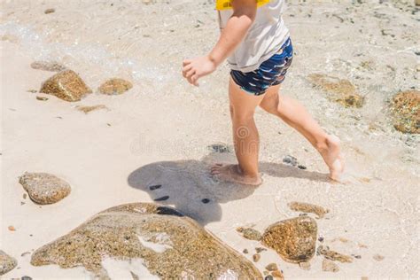 The Boy Enjoys The Tropical Sea And The Beach Stock Image Image Of