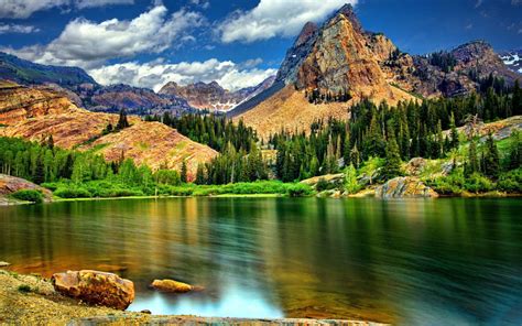 Landscape Nature Rocky Mountains With Jagged Peaks Pine Trees Mountain