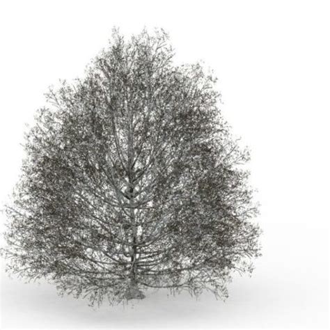 Winter Snow Tree 3d Model Max 123free3dmodels