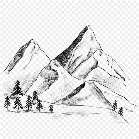 Sketsa Gunung Hitam Putih Puncak Gunung Pinus Pegunungan Png