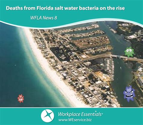 Deaths From Harmful Bacteria In Florida Saltwater Are On The Rise Read