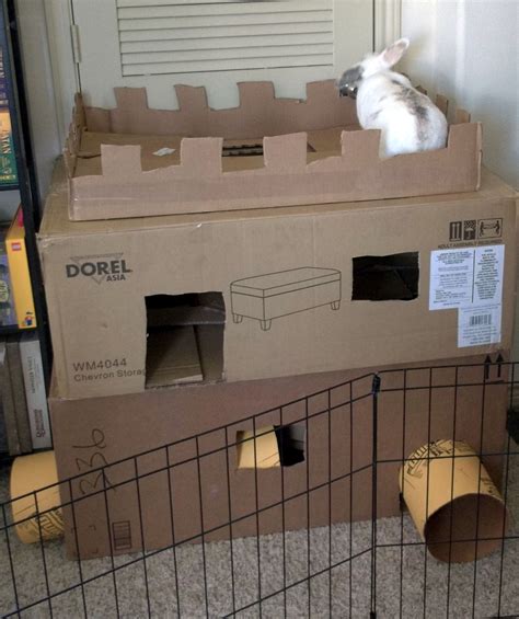New Cardboard Castle For Radar Bunny Diy Bunny Toys Bunny House