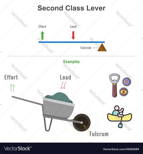 Simple Machines How Does A Lever Work Owlcation 56 Off