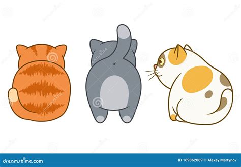 Three Cartoon Cats Stock Vector Illustration Of Vector 169862069