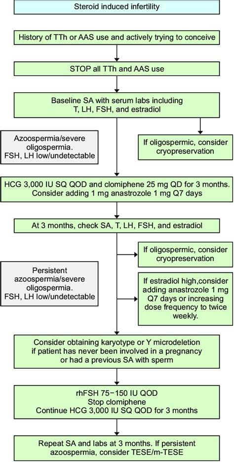 Algorithm For The Treatment Of Steroid Induced Infertility Tth