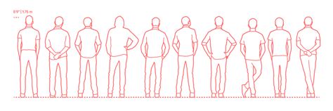 Standing Male Back Dimensions And Drawings Dimensionsguide