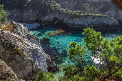 Hike Point Lobos State Reserve In Carmel By The Sea