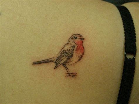 Robin Tattoo Meaning Robin Tattoo On Tumblr Isbagus