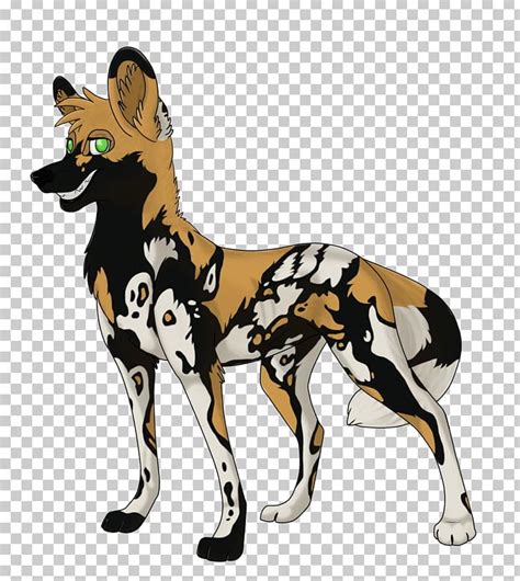African Wild Dog Puppy Dhole Drawing Png Clipart African Wild Dog