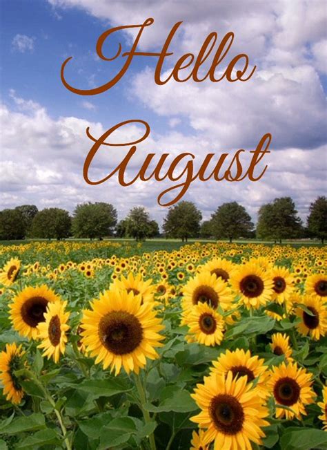 Hello August Hello August Months In A Year Neon Signs