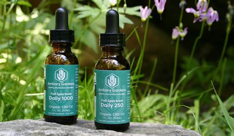 The 10 Best Cbd Brands In 2023 The Cbd Encyclopedia