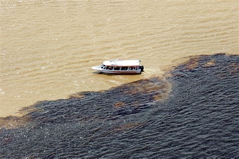 Extra Meeting The Waters Amazonas Nature