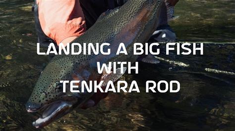 Understanding The Power Curve Landing A Big Fish With Tenkara Youtube