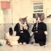 Anorak News Cats Dressed As People In Photos