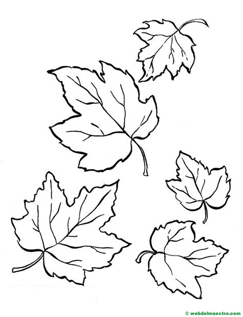 hojas de otoño para colorear- Web del maestro