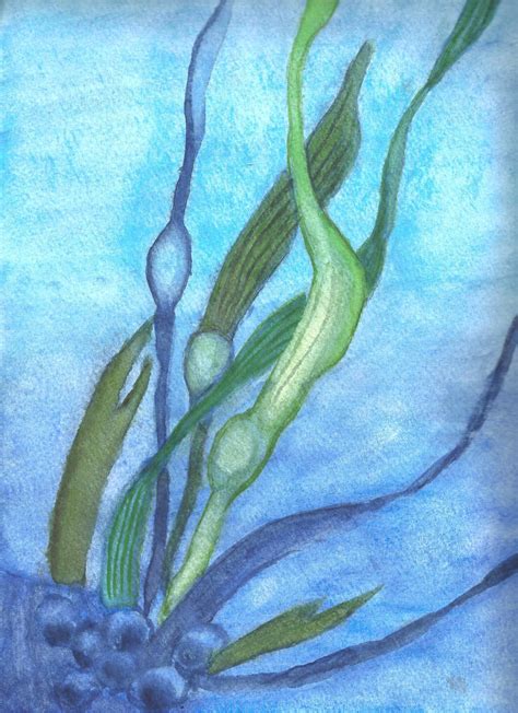 Seaweed By Kira Tsukiko On Deviantart