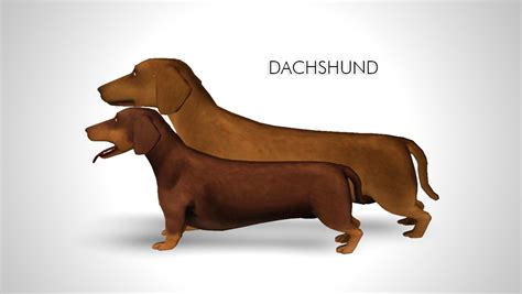 Sims 4 Cc Finds Morganabananasims Improved Dachshund Request
