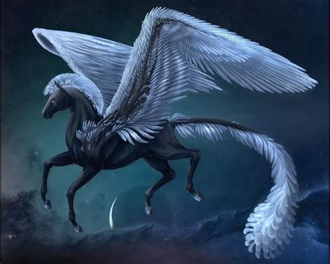 Picture Fantasy Magical Animals Supernatural Being Pegasus Magical