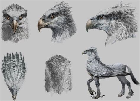 Hippogriff Wiki Harry Potter Amino