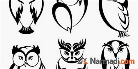 Download Sketsa Gambar Burung Hantu 10 Hasilnya