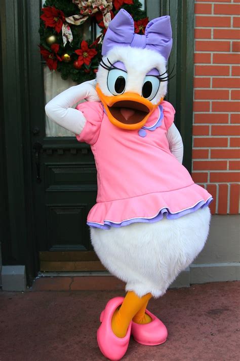 Daisy Duck At Disney Character Central