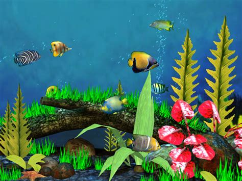 50 Animated Goldfish Wallpaper And Screensaver Wallpapersafari