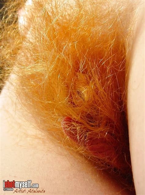 Orange Perfect Pubic Hair 1 170 Pics Xhamster