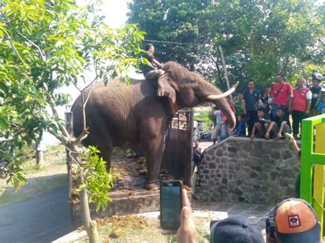Pembangunan waduk kebanggaan warga solo dan sekitarnya ini dimulai pada tahun 1970. Obyek Wisata Waduk Gajah Mungkur - Tempat Wisata Indonesia