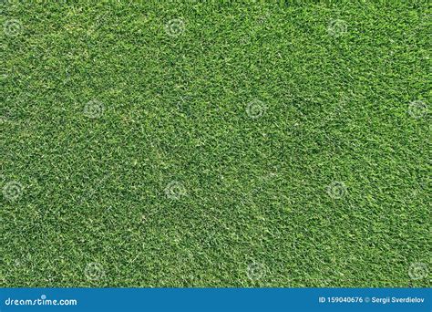 Beautiful Green Grass Texture From Golf Course Stock Photo Image Of