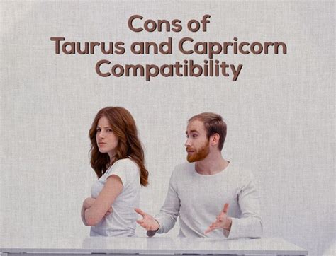 Taurus And Capricorn Compatibility Astrovaidya