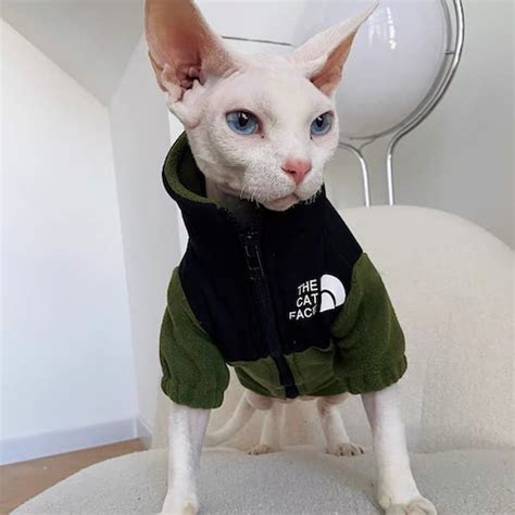 Cat Cloth Sphynx Outfit Sweater Cozy Jumper Sphynx Cat Etsy