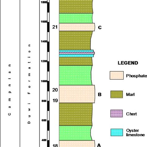 Lithostratigraphic Succession Of Duwi Formation Exposed In Safaga