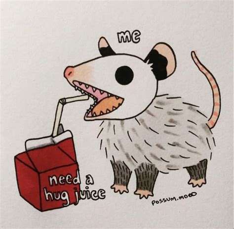 Pin By Lindsay Caudill On Awesome Possum In 2020 Indie Drawings