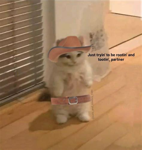 Pin On Cowboy Cats