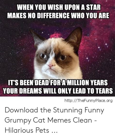 Funny Grumpy Cat Memes Clean Top 25 Grumpy Cat Memes