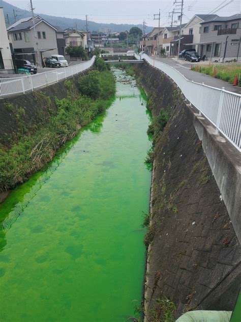 River Turns Bright Green In West Japan As Bath Coloring Agent Detected