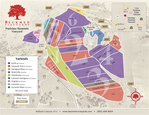 Beckmen Vineyards Updated Vineyard Maps