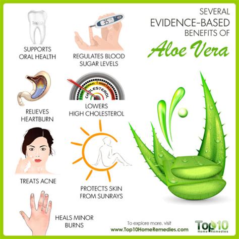 Himalaya aloe vera gel contains the key ingredient 'aloe vera extract' which has several health benefits as reported in various studies and research. Evidence-Based Benefits of Aloe Vera for Health | Top 10 ...