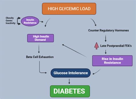 Systematic Representation Of Effect Of High Glycemic Load Foods On The