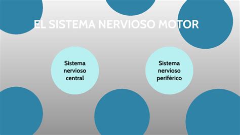 El Sistema Nervioso Motor By Lucia Reguera
