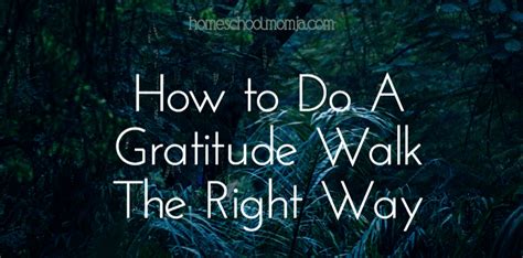 How To Do A Gratitude Walk The Right Way With Images Gratitude