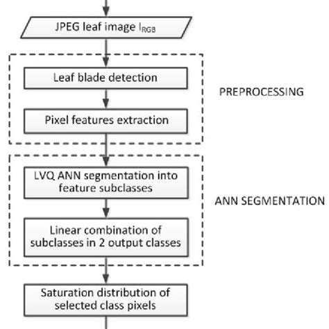 The Flowchart Of Leaf Image Segmentation Procedure Download