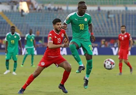 Can 2019 Qualifié Le Sénégal Retrouve La Finale Après 17ans
