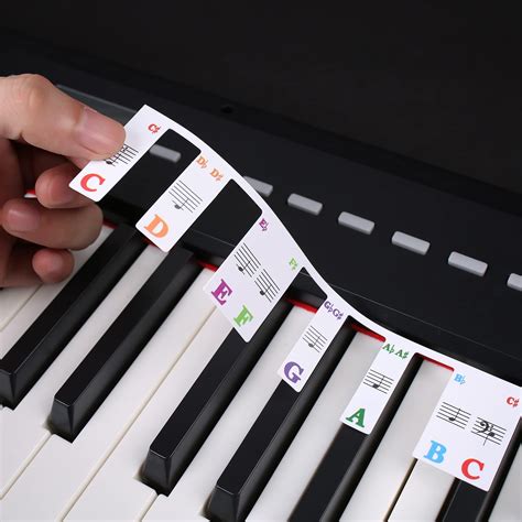 Buy Removable Piano Keyboard Note Labels Piano Key Labels Piano