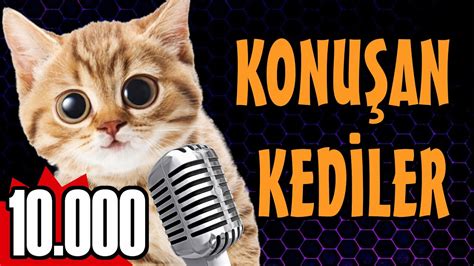 Komik Kedi Videoları Konuşan Kediler 10000 Youtube
