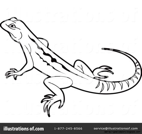 lizard clipart black and white amazing wallpapers