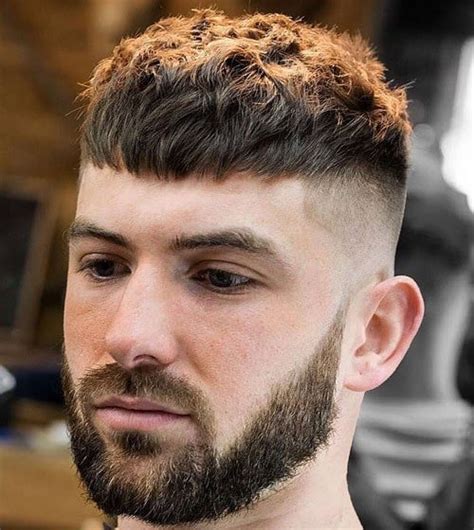 The mens haircuts 2021 collection features some of the finest men's looks we've seen in a long time. 37 Best French Crop Haircuts For Men (2021 Guide)
