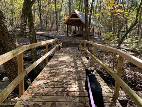 Madison County Nature Trail Green Mountain Huntsville 2020 All You