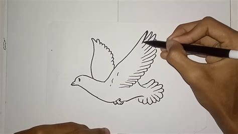 Cara Menggambar Burung Yang Mudah Part14 Youtube