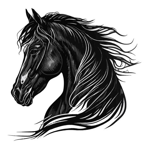 Friesian Horse Head Drawings
